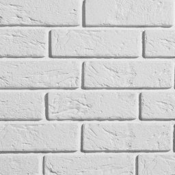  Stegu Kamień Dekoracyjny z Fugą Parma 1 Biały 22,2x7,4 Stegu
