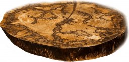  Wood & Resin Blat żywiczny z plastra drewna PDOB_095307_Z00 Żywica epoksydowa 49 cm x 54 cm x 6 cm | Fraktale Lichtenberga, Szlifowany, Lakierowany spód (matowy), Brokat