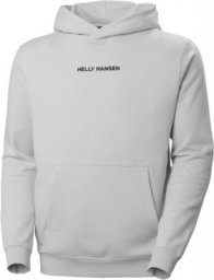  Helly Hansen Bluza Core Graphic Sweat Hoodie 53924_825 r. L
