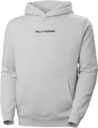 Helly Hansen Core Graphic Sweat Hoodie 53924_825 r. XL