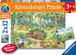  Ravensburger Ravensburger Why? For what reason? Why? Animals in the forest and on the meadow, jigsaw puzzle (2x 12 parts, with knowledge poster)