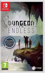  Gra Nintendo Switch Dungeon Of The Endless