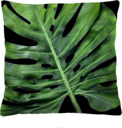 Intesi Poduszka Black Monstera 40x40cm