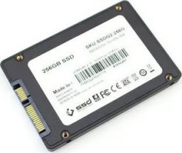  Generic Dysk SSD - 256 GB / SATA III / 2,5'' (SSDG2)