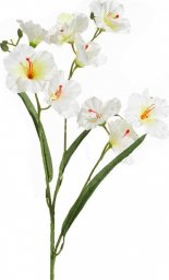  Eurofirany Sztuczny kwiat dekoracyjny storczyk NATU biały x6