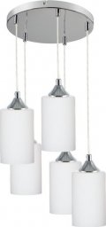 Lampa wisząca Topeshop Bosco Mix Lampa Wisząca 5xE27 Max.60W Chrom/Transparentny PVC/Biały