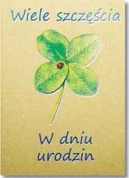 Trend KARNET B6 URODZINY EKO SILVER TS147