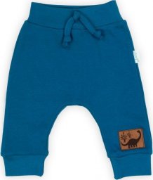 NICOL Spodnie dresowe niemowlęce dla chłopca Nicol Iwo 62