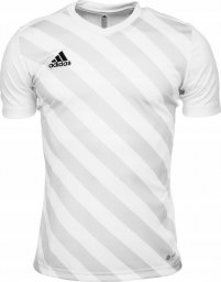  Adidas Koszulka dla dzieci adidas Entrada 22 Graphic Jersey biało-szara HF0120 140cm