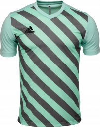  Adidas Koszulka dla dzieci adidas Entrada 22 Graphic Jersey miętowo-szara HF0127 164cm