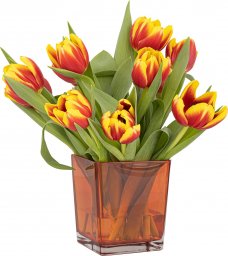  Trend Glass Pojemnik dekoracyjny pomarańczowy na kwiaty i kompozycje Violet Color Accent