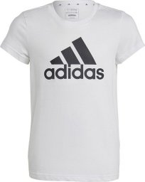  Adidas Koszulka adidas Big Logo Tee girls Jr IC6121