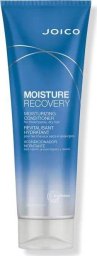 Joico JOICO_Restage Moisture Recovery Conditioner nawilżająca odżywka do włosów 300ml