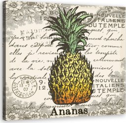  Feeby Obraz na płótnie, Ananas vintage - 50x50