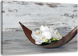  Feeby Obraz na płótnie, Białe kwiaty storczyka - 120x80