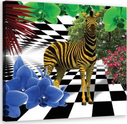  Feeby Obraz na płótnie, Kolorowa zebra natura zwierzęta - 60x60