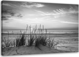  Feeby Obraz na płótnie, Trawy na plaży - czarno-biały - 120x80
