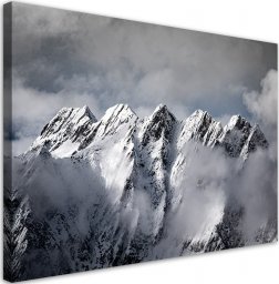 Feeby Obraz na płótnie, Szczyt góry zimą - 120x80