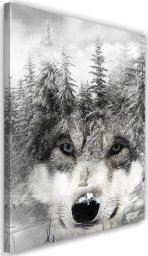  Feeby Obraz na płótnie, Wilk w zimowej scenerii - 80x120