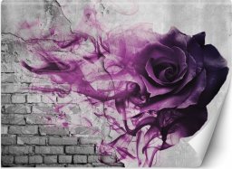 Feeby Fototapeta, Fioletowa róża dym - 100x70