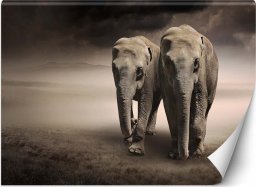  Feeby Fototapeta, Para słoni afryka - 100x70