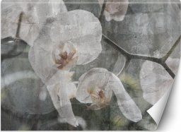  Feeby Fototapeta, Orchidea vintage - 368x254