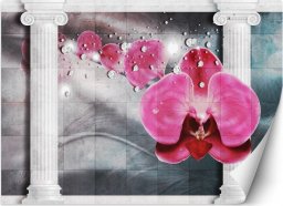  Feeby Fototapeta, Różowy kwiat storczyk kolumny - 150x105
