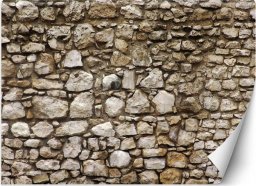  Feeby Fototapeta, Ściana z kamienia - 250x175