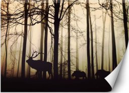  Feeby Fototapeta, Zwierzęta w lesie - 300x210