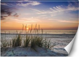  Feeby Fototapeta, Zachód słońca na plaży - 200x140