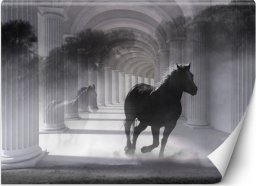  Feeby Fototapeta, Tunel biegnący koń efekt 3D - 350x245