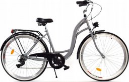  Dallas Bike Rower Dallas City 26" 7spd - siwy z czarnym