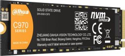 Dysk SSD Dahua Technology C970 1TB M.2 2280 PCI-E x4 Gen4 NVMe (DHI-SSD-C970N1TB)