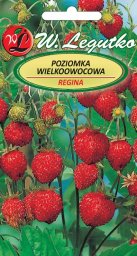  Legutko Nasiona Poziomka Regina, owoce czerwone, duże 0,1g