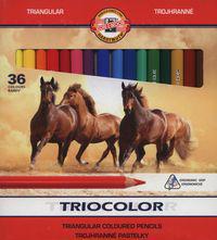  Koh I Noor Kredki Triocolor 36 kolorĂłw 