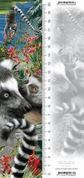  Worth-Keeping ZakĹ‚adka 3D Lemur 
