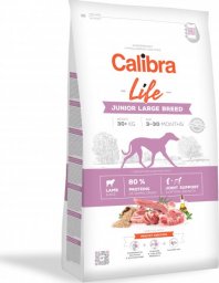  Calibra Calibra Dog Life Junior Large Breed Lamb 12 kg