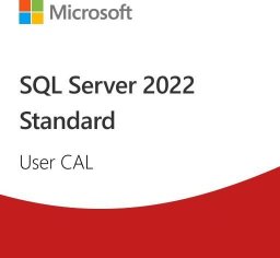 Microsoft SQL Server 2022 - 1 User CAL (Edu)  (DG7GMGF0MF3T:0002)