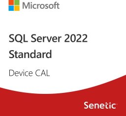 Microsoft SQL Server 2022 - 1 Device CAL  (DG7GMGF0MF3T:0001)