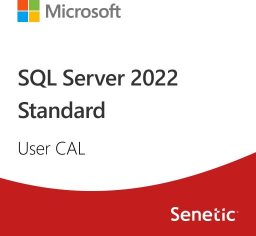  Microsoft SQL Server 2022 - 1 User CAL  (DG7GMGF0MF3T:0002)