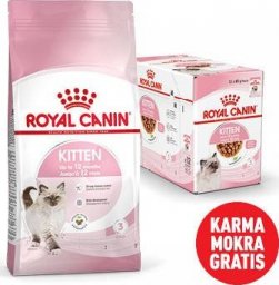  Royal Canin ROYAL CANIN Kitten 10kg karma sucha dla kociąt od 4 do 12 miesiąca życia + Karma mokra GRATIS!