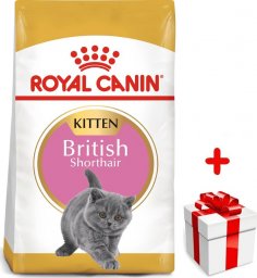  Royal Canin ROYAL CANIN British Shorthair Kitten 400g karma sucha dla kociąt, do 12 miesiąca, rasy brytyjski krótkowłosy + niespodzianka dla kota GRATIS!