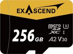 Karta ExAscend Catalyst MicroSDXC 256 GB UHS-I/U3 A2 V30 (EX256GUSDU1-AD)