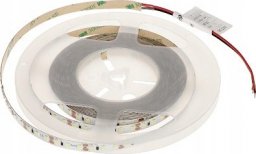 Taśma LED MW Lighting TAŚMA LED LED120-12V/9.6W-CW/5M - 16000&nbsp;K MW Lighting