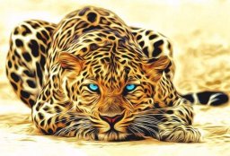  Norimpex Diamentowa mozaika - Leopard