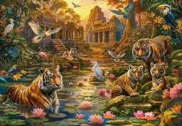 Castor Puzzle 1000 elementów Tigers Paradise