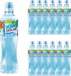 Kubuś Kubuś Waterrr Woda niegazowana 500 ml x 12 sztuk