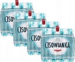 Woda Cisowianka Cisowianka Naturalna woda mineralna niegazowana niskosodowa 500 ml x 48 sztuk