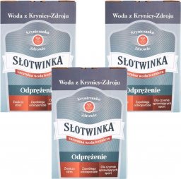 Woda Kryniczanka Kryniczanka Słotwinka naturalna woda lecznicza Odprężenie 3l x 3 sztuk