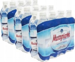 Woda Muszynianka Muszynianka plus Naturalna woda mineralna wysokozmineralizowana średnionasycona CO2 0,6 l x 24 sztuk